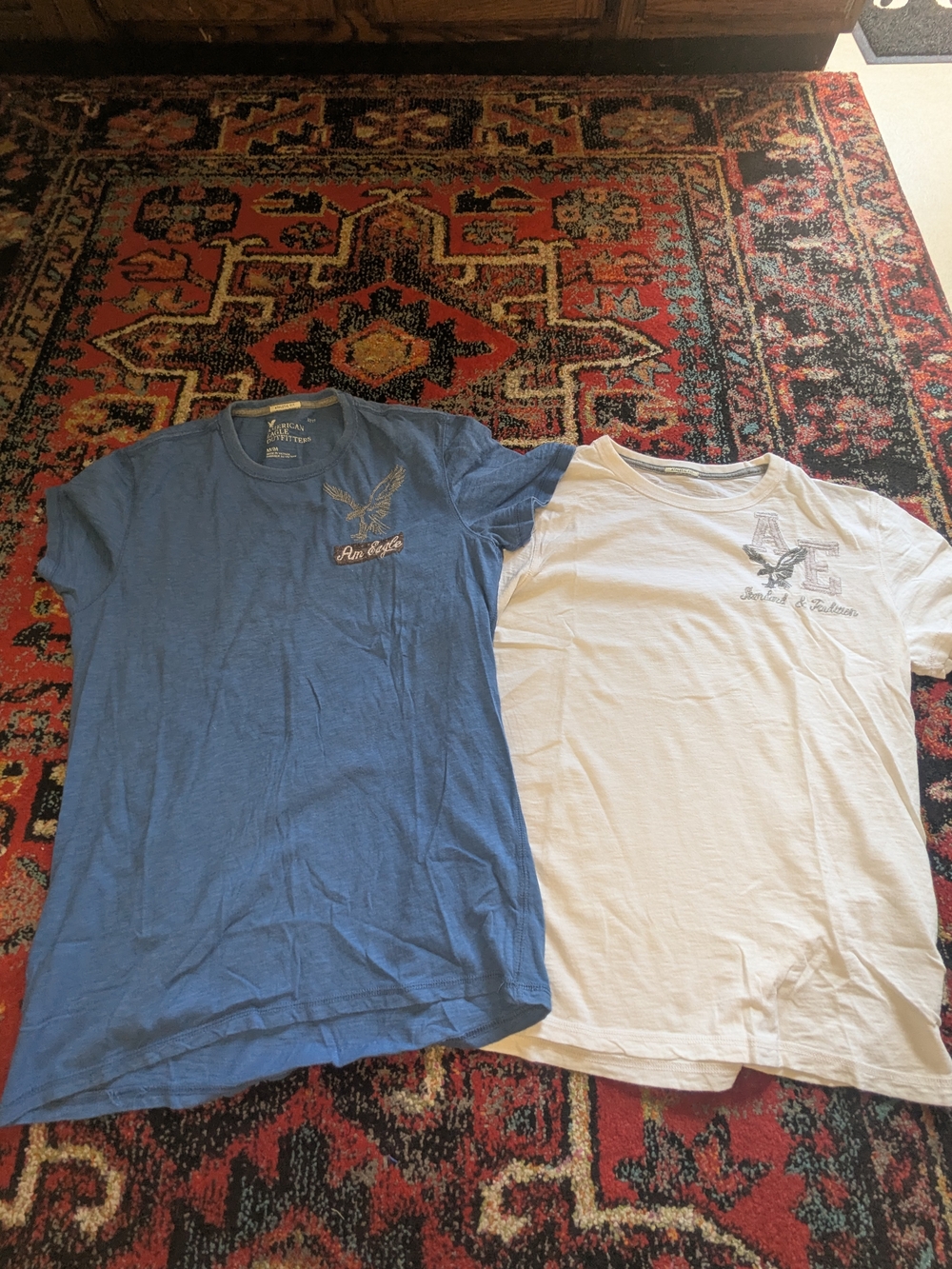 American Eagle Outfitters Men’s Blue And White Graphic Crew Neck T-Shirt